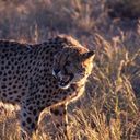 Wilderness Experience