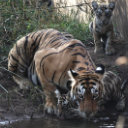 Wilderness Experience