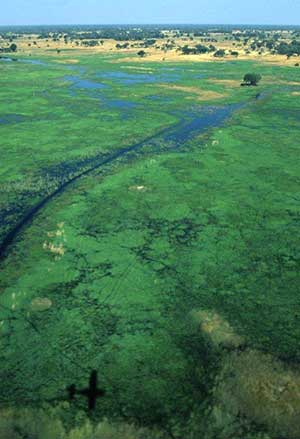 Wilderness Experience Tour Operator