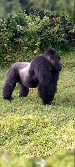 Wilderness Experience Tour Operator