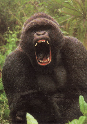 Wilderness Experience Tour Operator