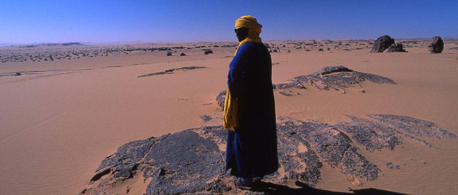 Wilderness Experience Tour Operator